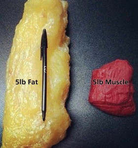 5-pounds-of-fat-5-pounds-of-muscle