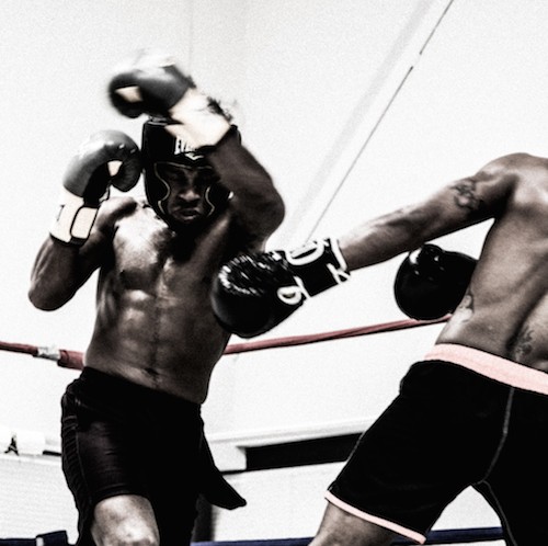 boxers training
