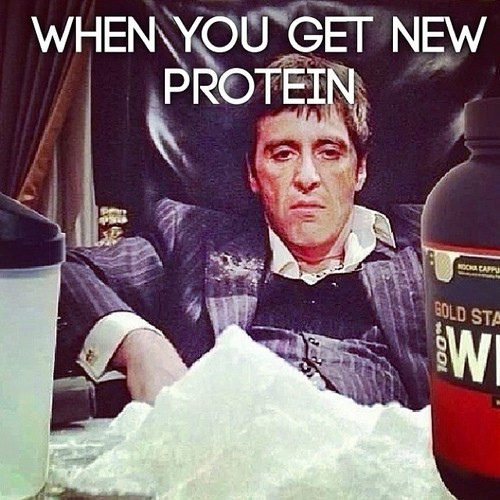 When you get new protein