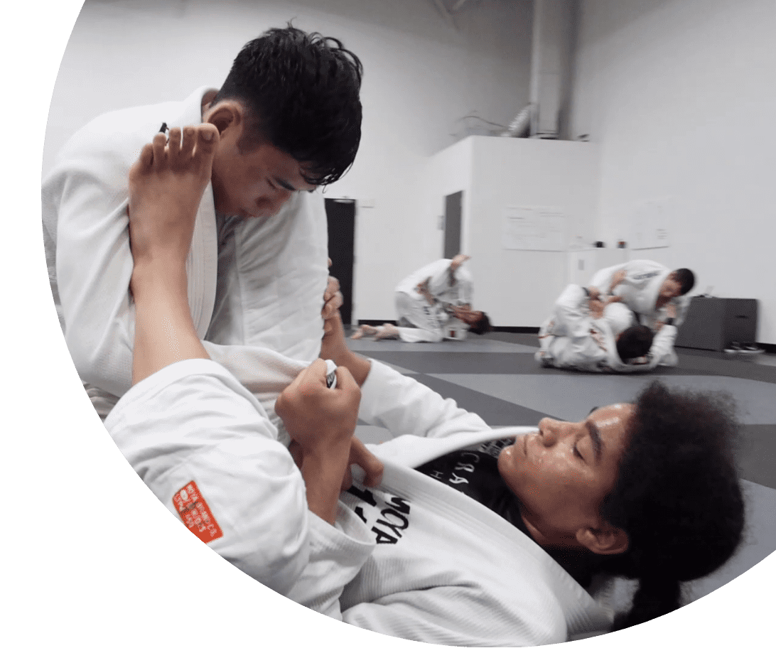 Martial Arts Training and Real Fighting