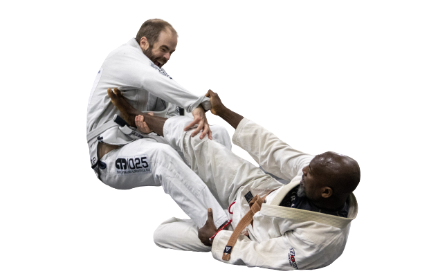 Jiujitsu throw