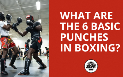 What Are the 6 Basic Punches in Boxing? Complete Beginner Guide