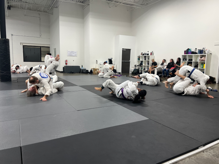 No-gi Training with instructor