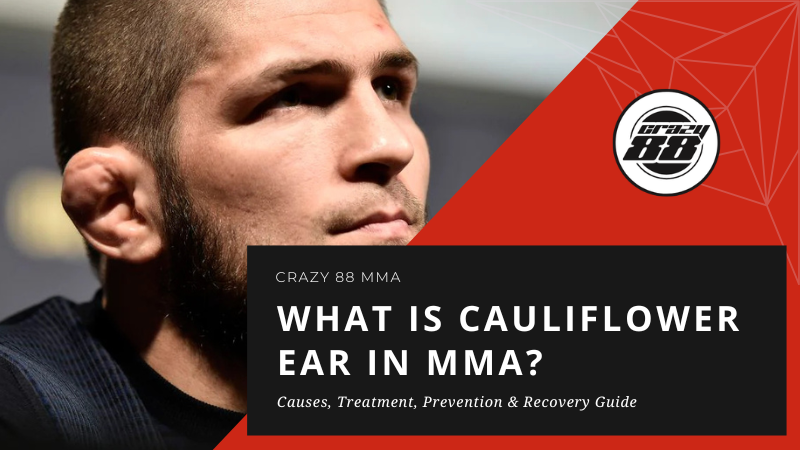 What is Cauliflower Ear in MMA - Crazy 88 Mixed Martial Arts