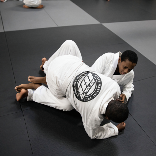 Jiu-Jitsu fighters