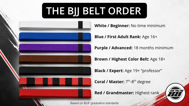 Adult BJJ Belt Ranking System - Crazy 88 MMA