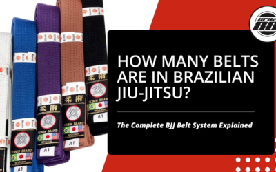 How Many Belts Are in Brazilian Jiu-Jitsu? Complete BJJ Belt System Explained