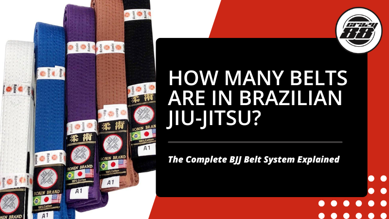 How Many Belts Are in Brazilian Jiu Jitsu - Crazy 88 MMA